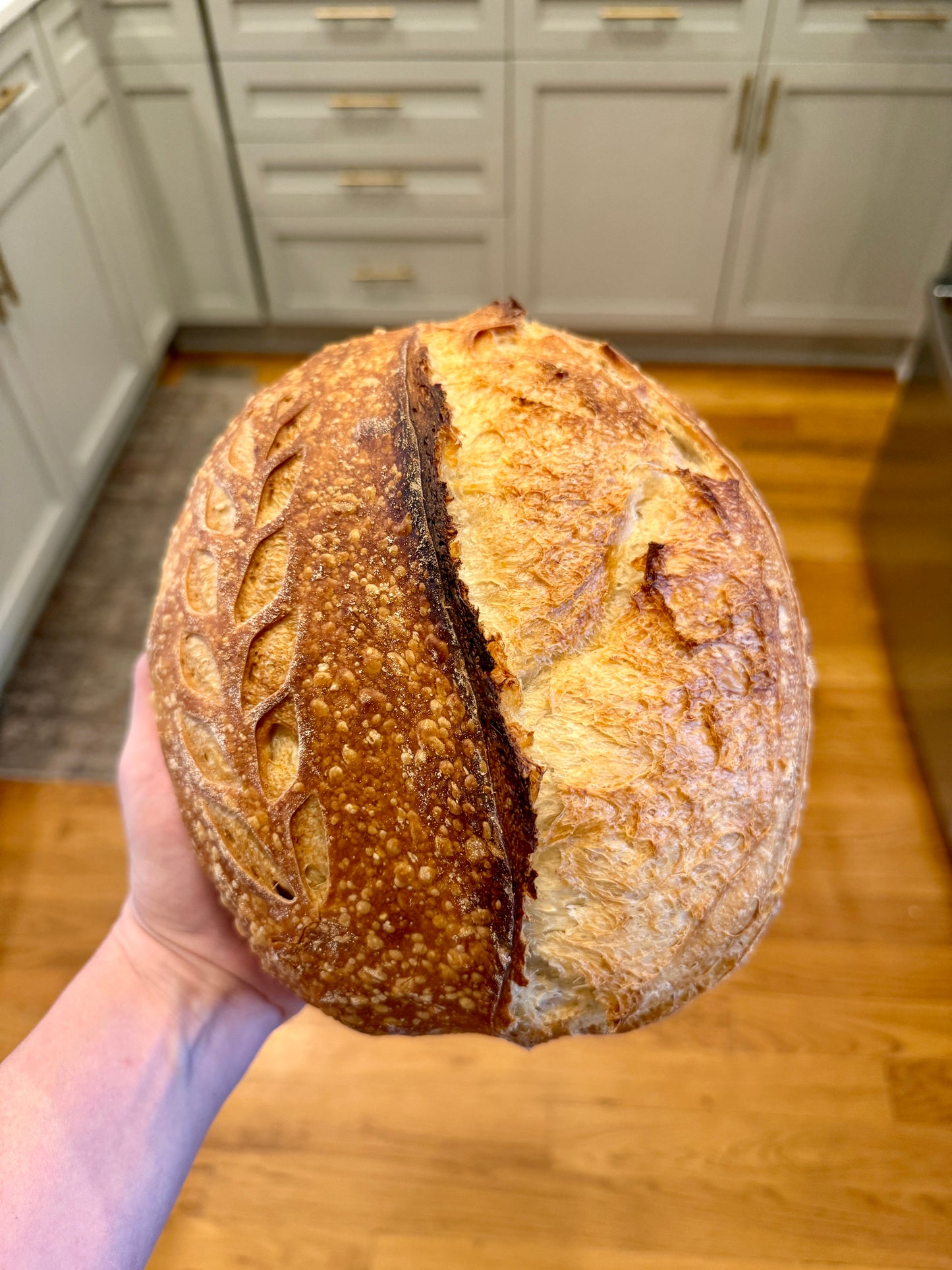 Fresh Sourdough Starter